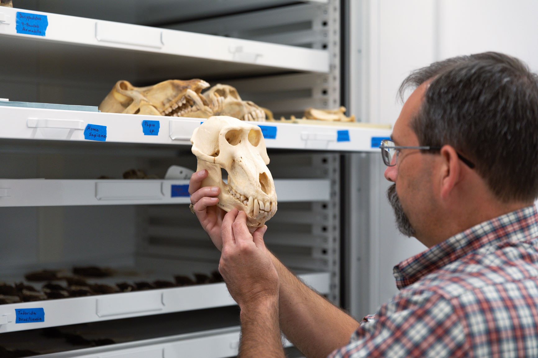 Perot Drawers 2B Zoology