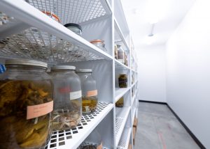 Open Shelving & Wet Storage
