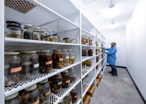 Open Shelving & Wet Storage