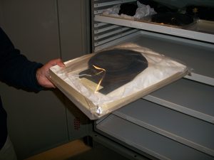 Archival / Object Museum Storage Cabinet
