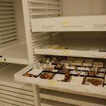 Geology Museum Storage Cabinet