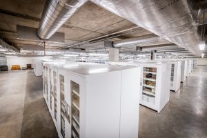 Visible Museum Storage Cabinet