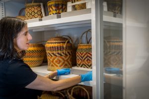 Visible Museum Storage Cabinet