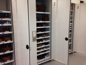 Museum Storage Cabinet