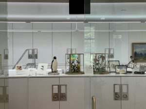 Museum Cabinets