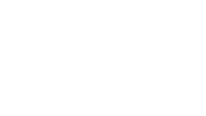 Logo Bruynzeel
